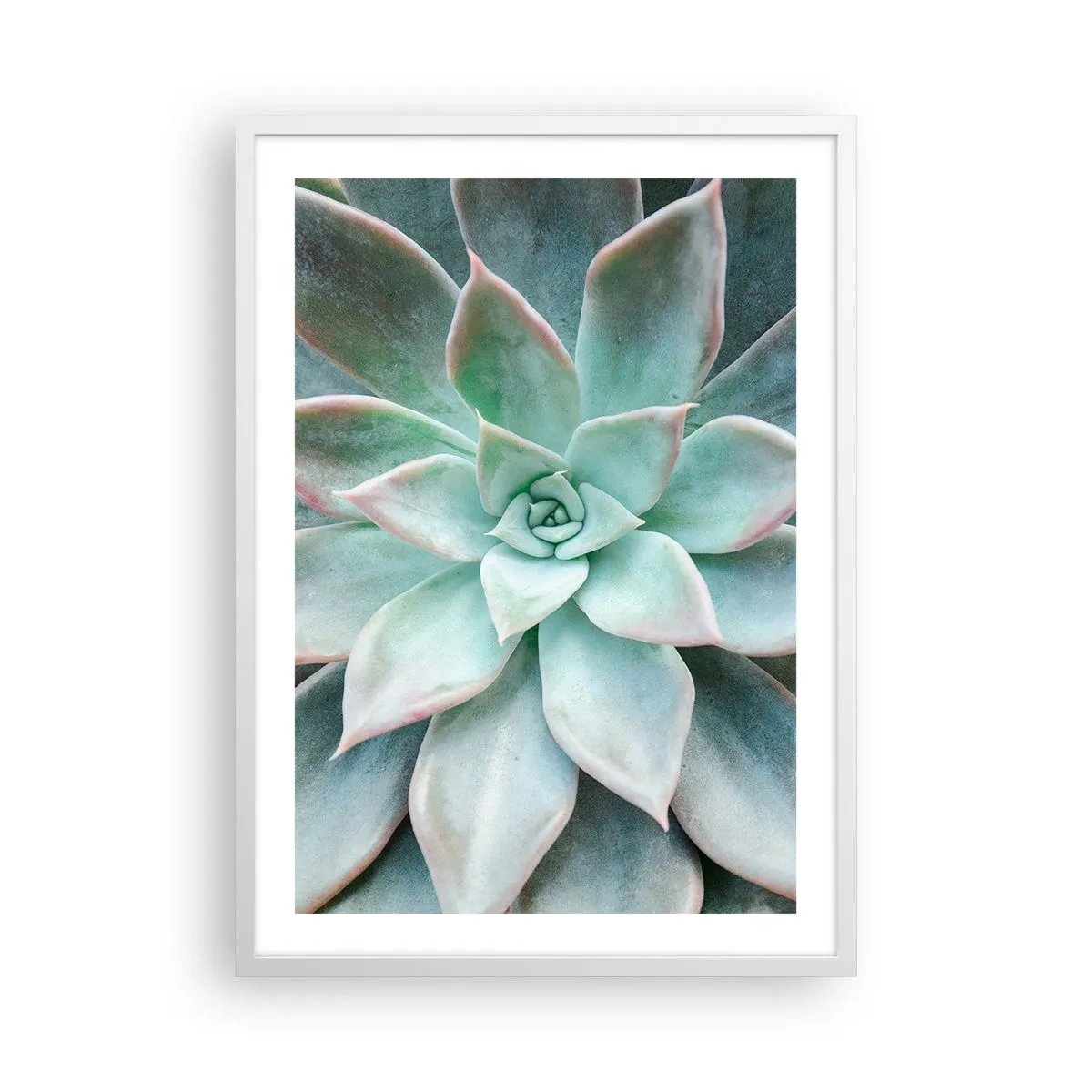 Affiche dans un cadre blanc - Poster - Le coeur du désert - 50x70 cm