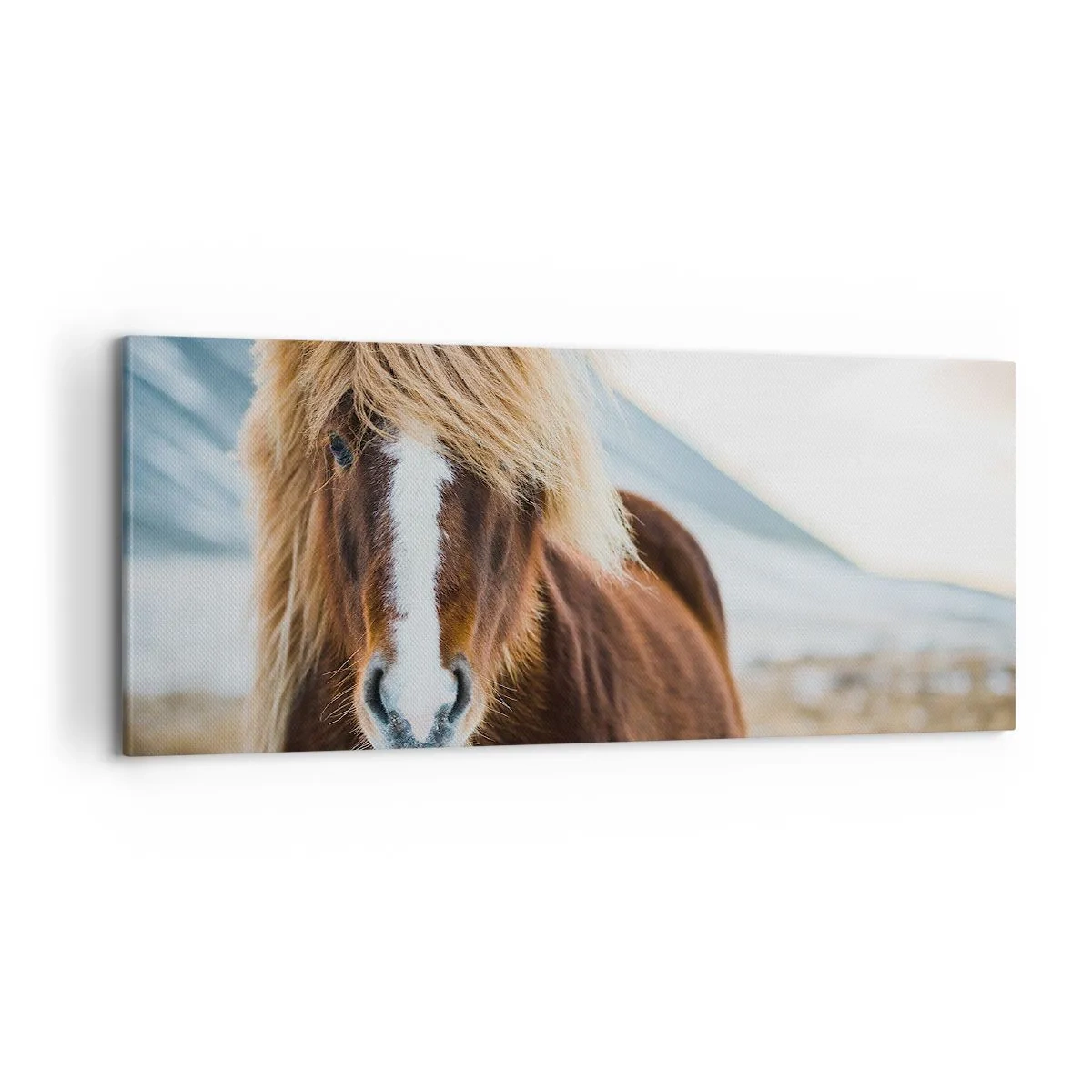 Impression sur toile - Image sur toile - Sentez-vous la liberté ? - 100x40 cm