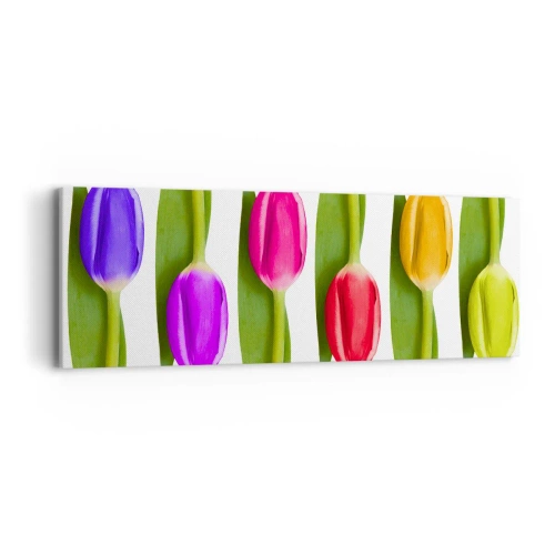 Impression sur toile - Image sur toile - Composition arc-en-ciel - 90x30 cm