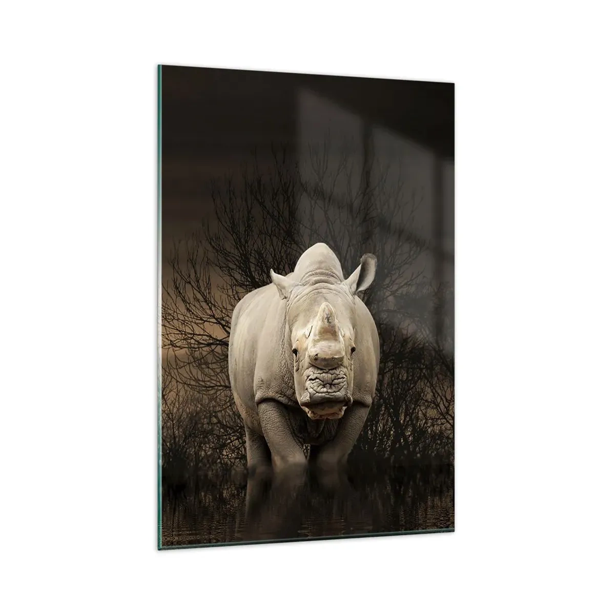 Impression sur verre - Image sur verre - Rhinocéros parmi les arbres au coucher du soleil, nature sauvage. - 80x120cm - Blanc contre nature - Décoration murale moderne pour le salon et la chambre ARTTOR