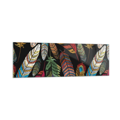 Impression sur verre - Image sur verre - Plumes colorées sur fond noir - 160x50cm - Le carnaval des oiseaux - Décoration murale moderne pour le salon et la chambre ARTTOR