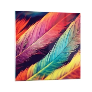 Impression sur verre - Image sur verre - Arc-en-ciel de plumes - 60x60 cm