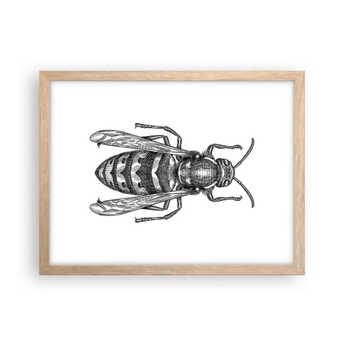 Affiche dans un chêne clair - Poster - D'une planète d'insectes - 40x30 cm