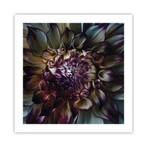 Affiche - Poster - L'apogée de la jeunesse - 50x50 cm