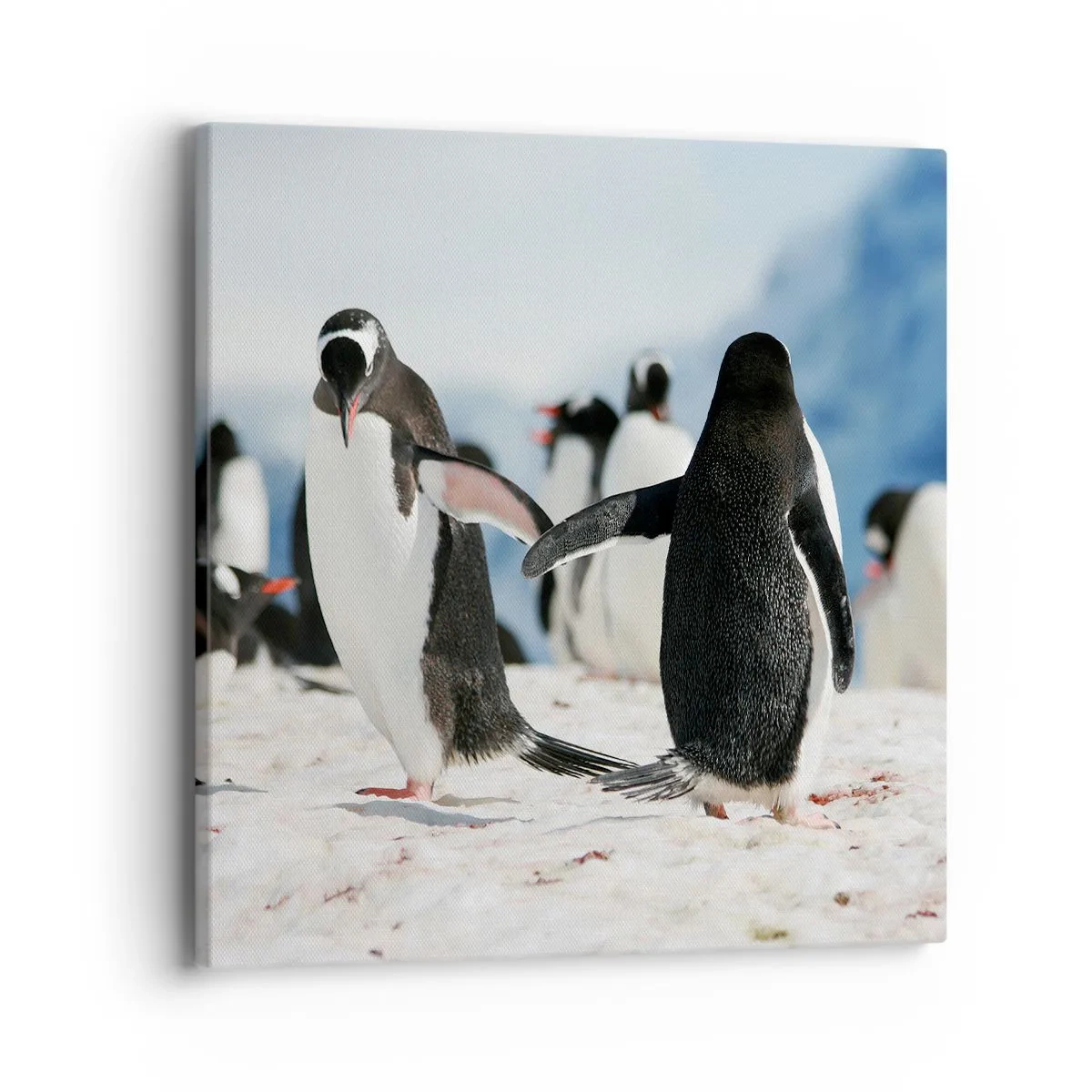 Impression sur toile - Image sur toile - Danser dans la neige - 40x40 cm