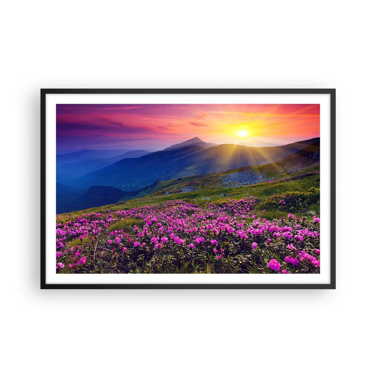 Affiche dans un cadre noir - Poster - … Et autour, ça sent le pin des montagnes et l'odeur de la prairie - 91x61 cm