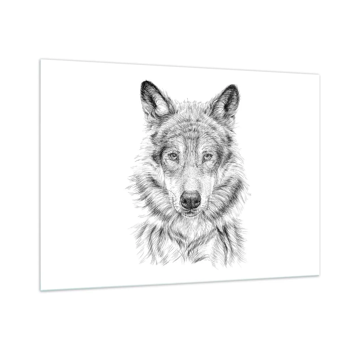 Impression sur verre - Image sur verre - Croquis noir et blanc d'une tête de loup sur fond blanc - 100x70cm - Un leader né - Décoration murale moderne pour le salon et la chambre ARTTOR