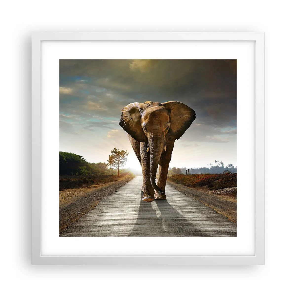 Affiche dans un cadre blanc - Poster - Et pas du tout en porcelaine - 40x40 cm