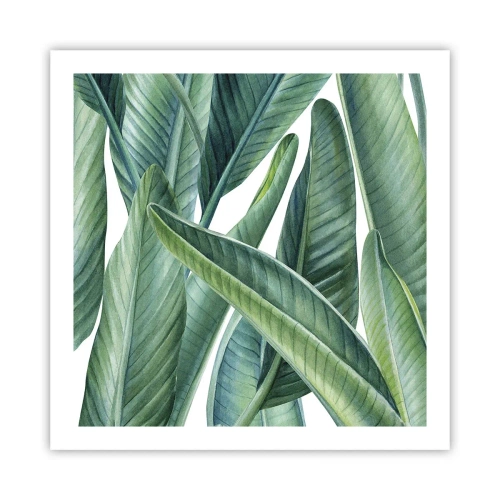 Affiche - Poster - La nature face à elle-même - 60x60 cm