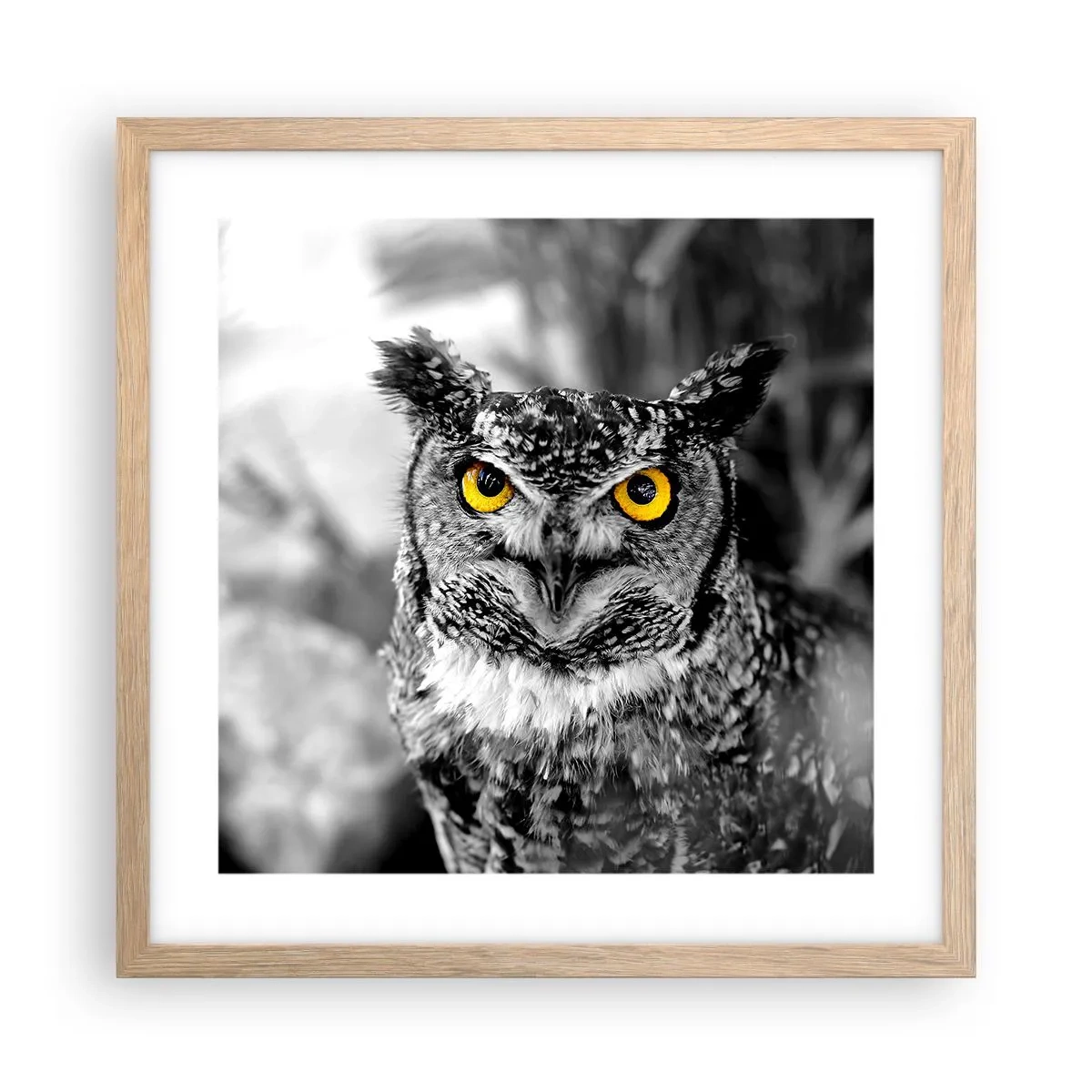 Affiche dans un chêne clair - Poster - Rien ne se cachera - 40x40 cm