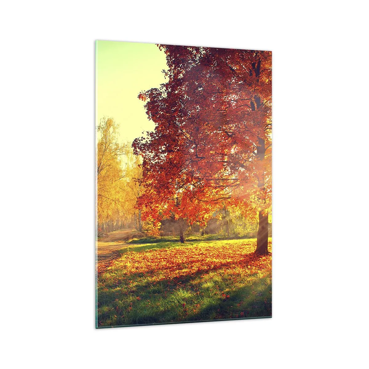Impression sur verre - Image sur verre - Parc d'automne illuminé par la lumière du soleil - 70x100cm - Le roux est beau - Décoration murale moderne pour le salon et la chambre ARTTOR