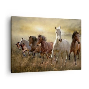 Impression sur toile - Image sur toile - Un groupe de chevaux au galop sur fond de soleil couchant - 70x50cm - Vive la liberté! - Décoration murale moderne pour le salon et la chambre ARTTOR