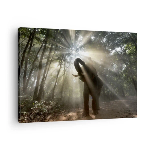 Impression sur toile - Image sur toile - Un éléphant dans la forêt entouré de rayons de lumière dans la brume matinale - 70x50cm - Sous la bonne étoile - Décoration murale moderne pour le salon et la chambre ARTTOR