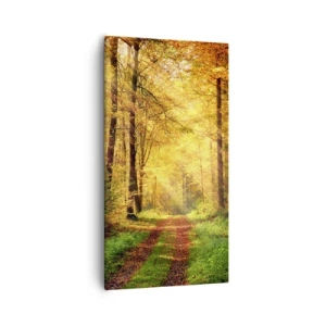 Impression sur toile - Image sur toile - Silence d'or en forêt - 55x100 cm