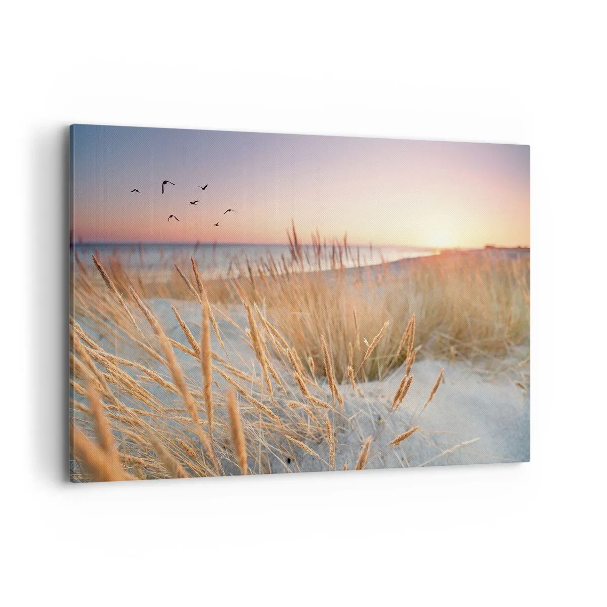 Impression sur toile - Image sur toile - Plage au coucher du soleil avec de hautes herbes - 120x80cm - Berceuse baltique - Décoration murale moderne pour le salon et la chambre ARTTOR