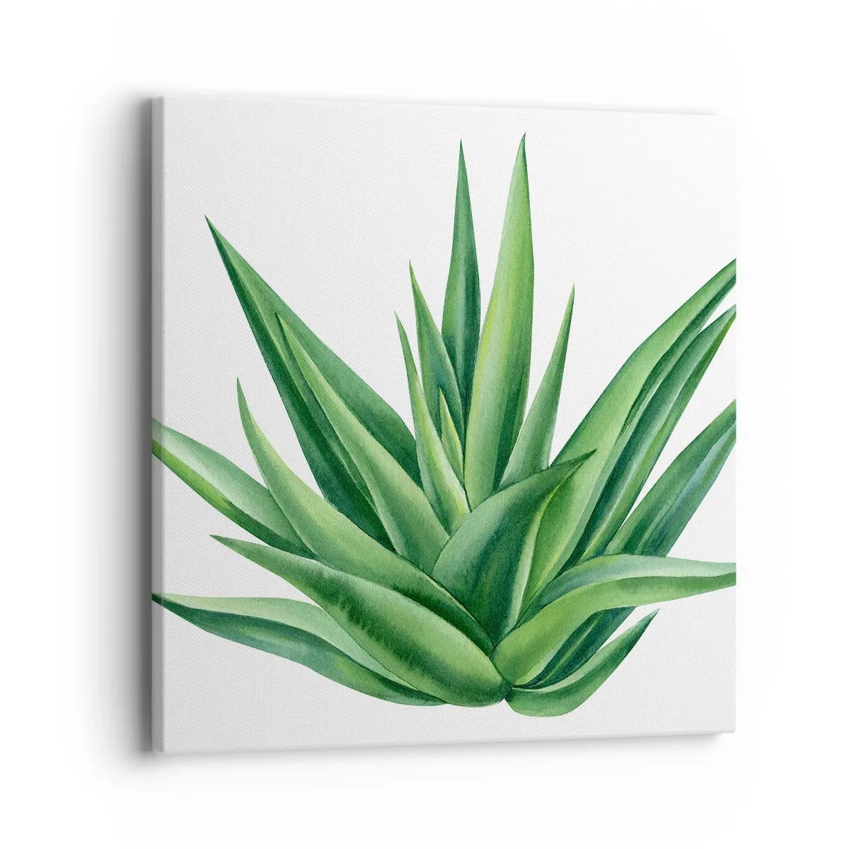 Impression sur toile - Image sur toile - Vert – force – vie - 40x40 cm