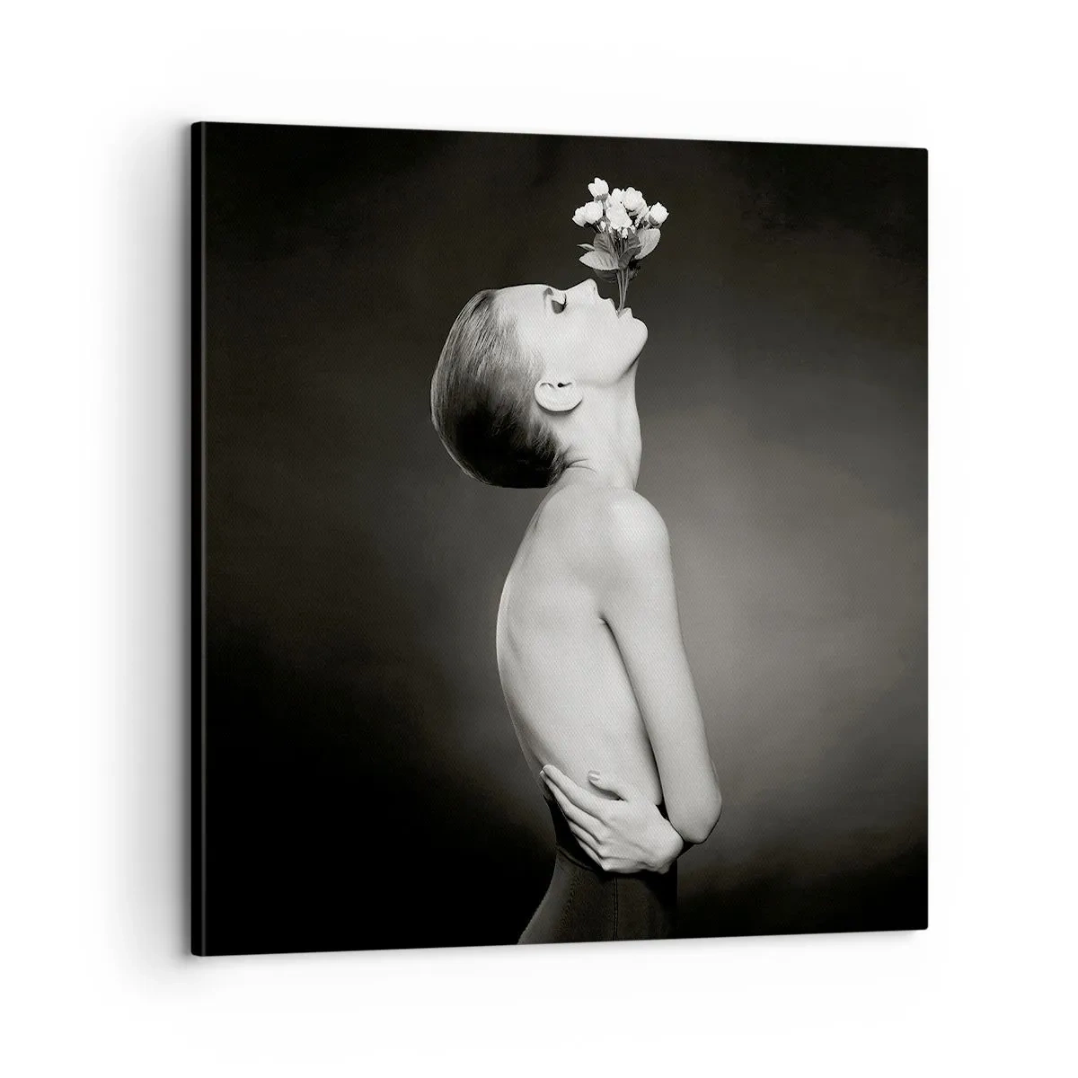 Impression sur toile - Image sur toile - Elégance excentrique - 60x60 cm