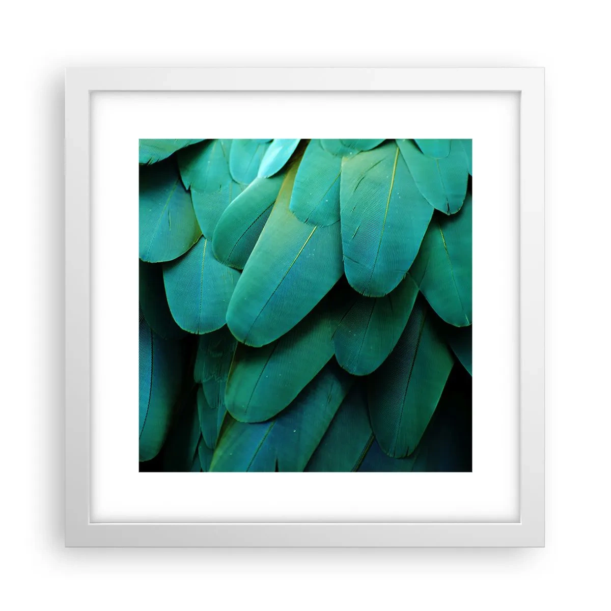 Affiche dans un cadre blanc - Poster - Perfection de la nature du perroquet - 30x30 cm