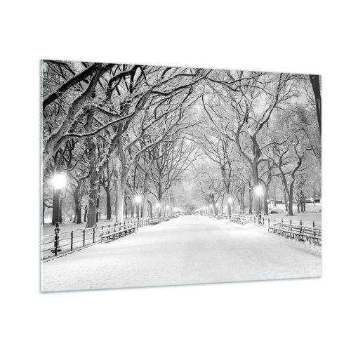 Impression sur verre - Image sur verre - Allée d'arbres d'hiver dans le parc avec des lumières et de la neige - 100x70cm - Les quatres saisons – l’hiver - Décoration murale moderne pour le salon et la chambre ARTTOR