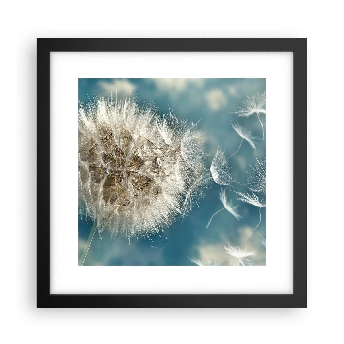 Affiche dans un cadre noir - Poster - souffle d'ange - 30x30 cm