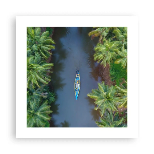 Affiche - Poster - Sur un sentier tropical - 40x40 cm