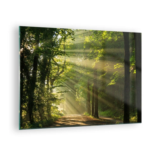 Impression sur verre - Image sur verre - Un chemin forestier illuminé par les rayons du soleil - 70x50cm - Moment de forêt - Décoration murale moderne pour le salon et la chambre ARTTOR