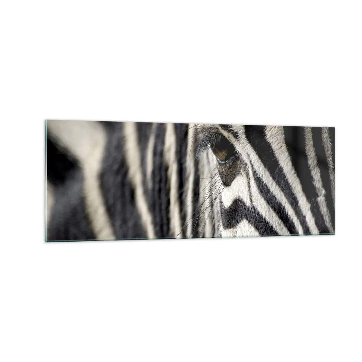 Impression sur verre - Image sur verre - Gros plan de l'œil d'un zèbre avec des rayures noires et blanches - 140x50cm - Portrait en rayure - Décoration murale moderne pour le salon et la chambre ARTTOR