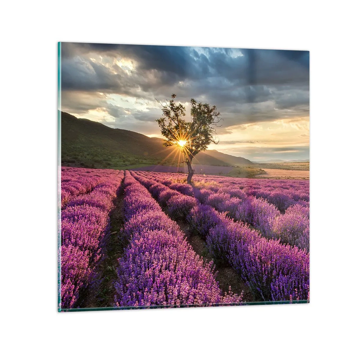 Impression sur verre - Image sur verre - Arôme de couleur lilas - 40x40 cm