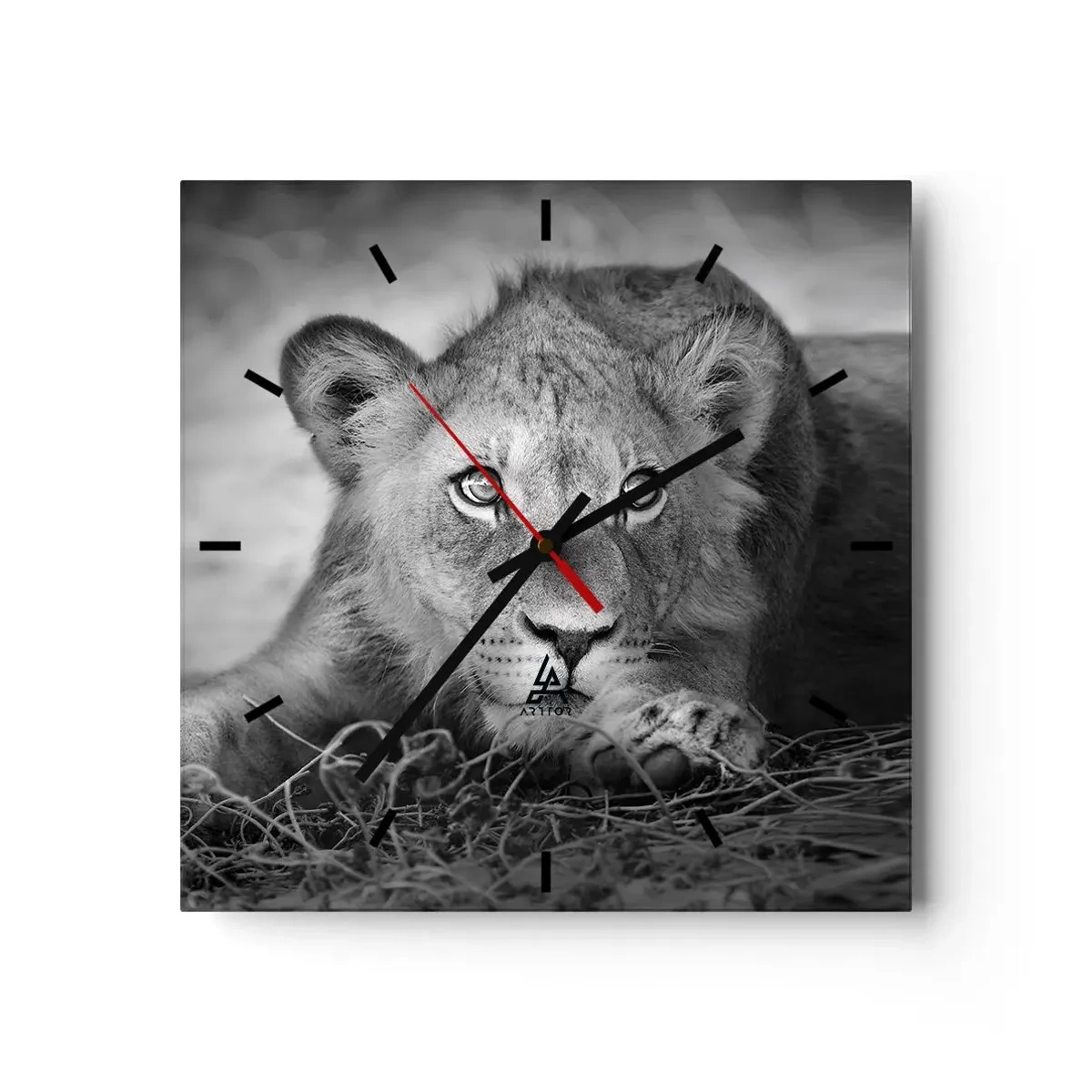 Horloge murale - Pendule murale - Portrait monochrome d'un jeune lion couché - 30x30cm - Chiot royal - Décoration murale moderne pour le salon et la chambre ARTTOR