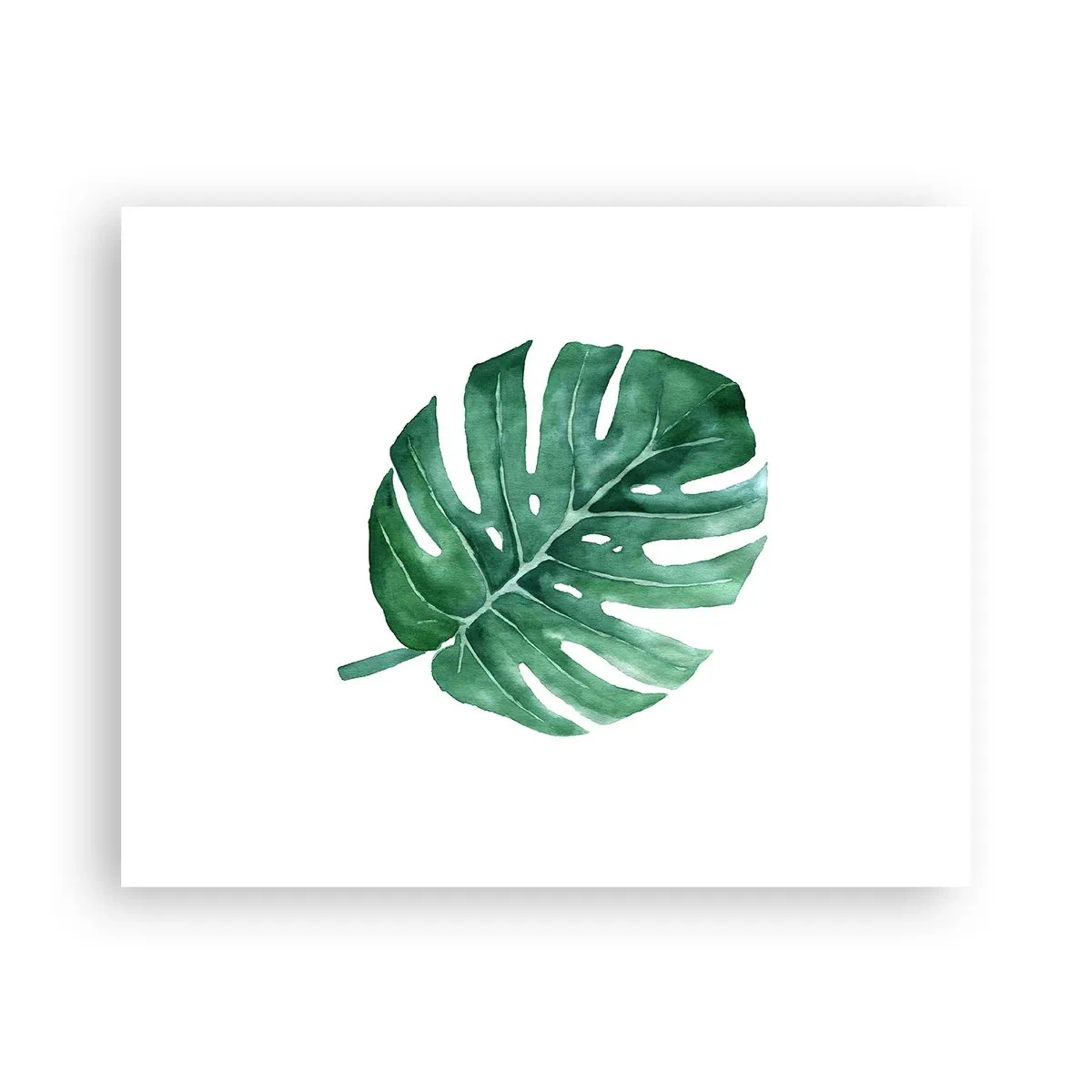 Affiche - Poster - Concept vert - 50x40 cm