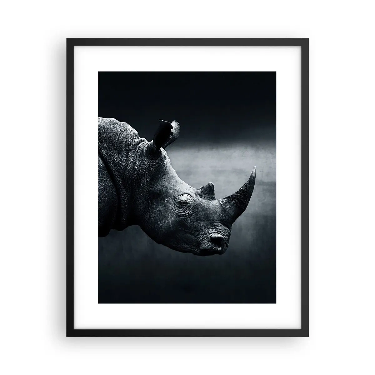 Affiche dans un cadre noir - Poster - Le profil droit - 40x50 cm