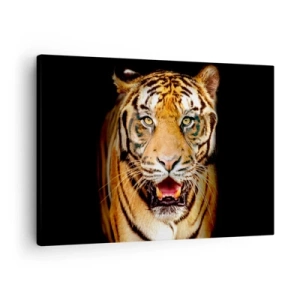 Impression sur toile - Image sur toile - Un tigre avec la gueule ouverte sur un fond noir - 70x50cm - Le coeur sauvageon - Décoration murale moderne pour le salon et la chambre ARTTOR