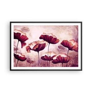 Affiche dans un cadre noir - Poster - Pétale rouge et blanc - 91x61 cm