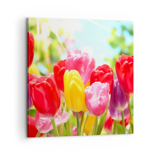 Impression sur toile - Image sur toile - C'est nous, les couleurs de Mai! - 60x60 cm