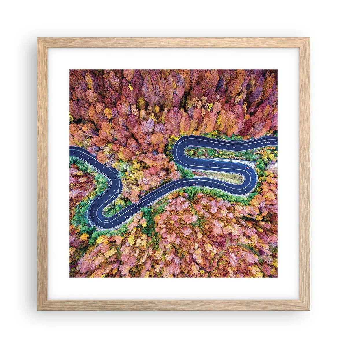Affiche dans un chêne clair - Poster - Route sinueuse à travers la forêt - 40x40 cm