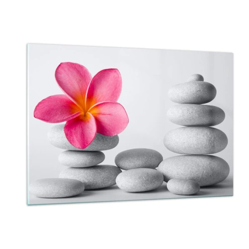 Impression sur verre - Image sur verre - Une fleur rose contre un tas de pierres blanches - 120x80cm - Pierre sur pierre, et sur cette pierre... - Décoration murale moderne pour le salon et la chambre ARTTOR