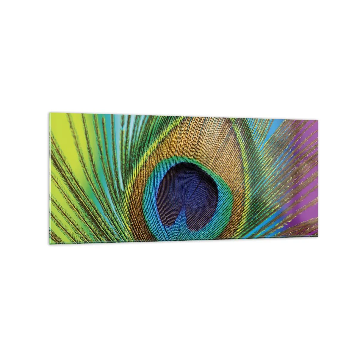 Impression sur verre - Image sur verre - Gros plan d'une plume de paon aux couleurs vives - 120x50cm - Les yeux dans les yeux - Décoration murale moderne pour le salon et la chambre ARTTOR