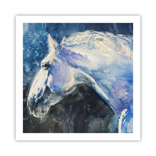 Affiche - Poster - Portrait dans une lueur azur - 60x60 cm