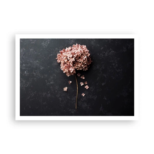 Affiche - Poster - Une délicate fleur d'hortensia sur un fond sombre - 100x70cm - Un signe vraiment romantique - Décoration murale moderne pour le salon et la chambre ARTTOR