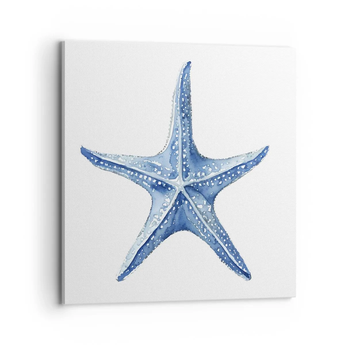 Impression sur toile - Image sur toile - Étoile de mer - 70x70 cm