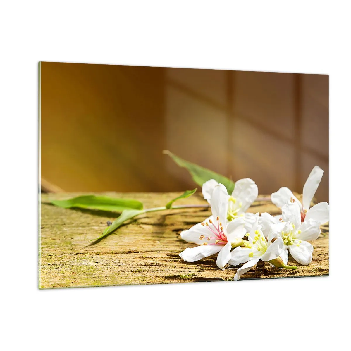 Impression sur verre - Image sur verre - Fleurs blanches sur fond de bois dans une lumière chaude - 120x80cm - Une promesse innocente - Décoration murale moderne pour le salon et la chambre ARTTOR