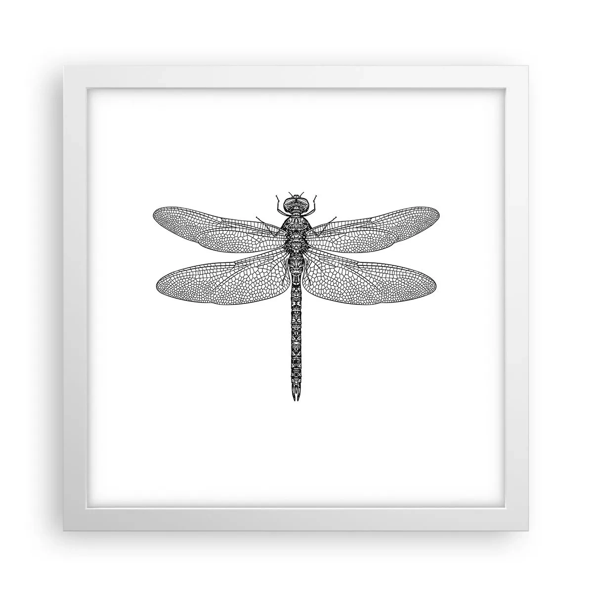 Affiche dans un cadre blanc - Poster - Précision de la nature - 30x30 cm