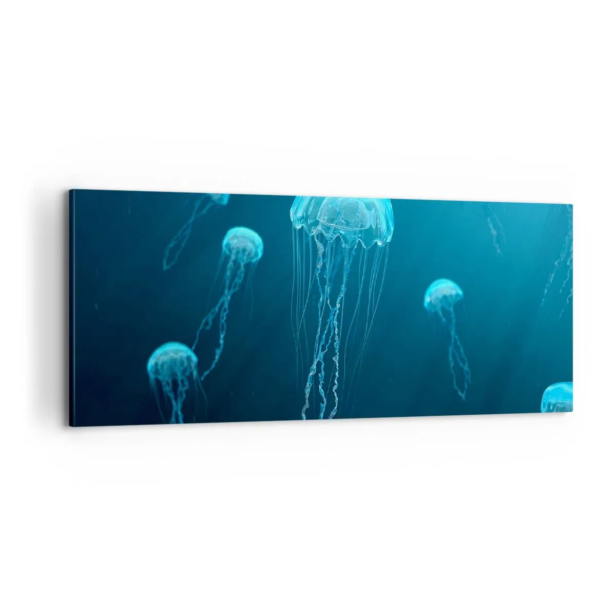 Impression sur toile - Image sur toile - Danse océanique - 100x40 cm