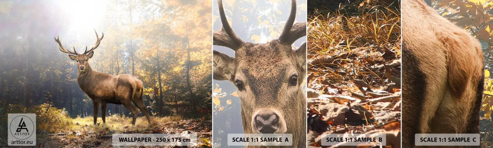 Échantillon De Papier Peint Standard Eco - Toute sa majesté - Paysage, Cerf, Forêt - 100x30 cm