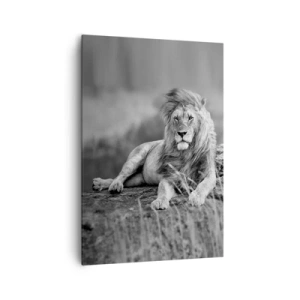 Impression sur toile - Image sur toile - Lion reposant sur un rocher dans un style monochrome - 70x100cm - Sieste royale - Décoration murale moderne pour le salon et la chambre ARTTOR