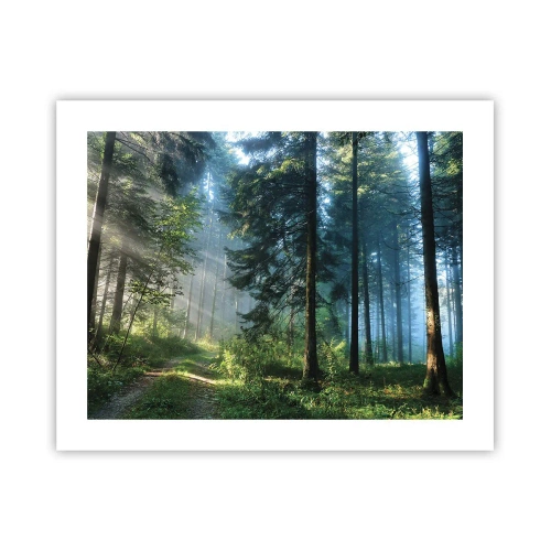 Affiche - Poster - Rayonnant le matin - 50x40 cm