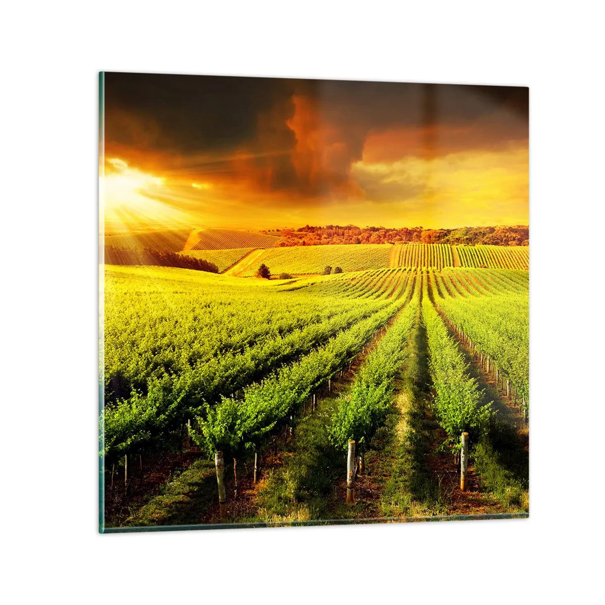 Impression sur verre - Image sur verre - Sous le soleil australien - 70x70 cm