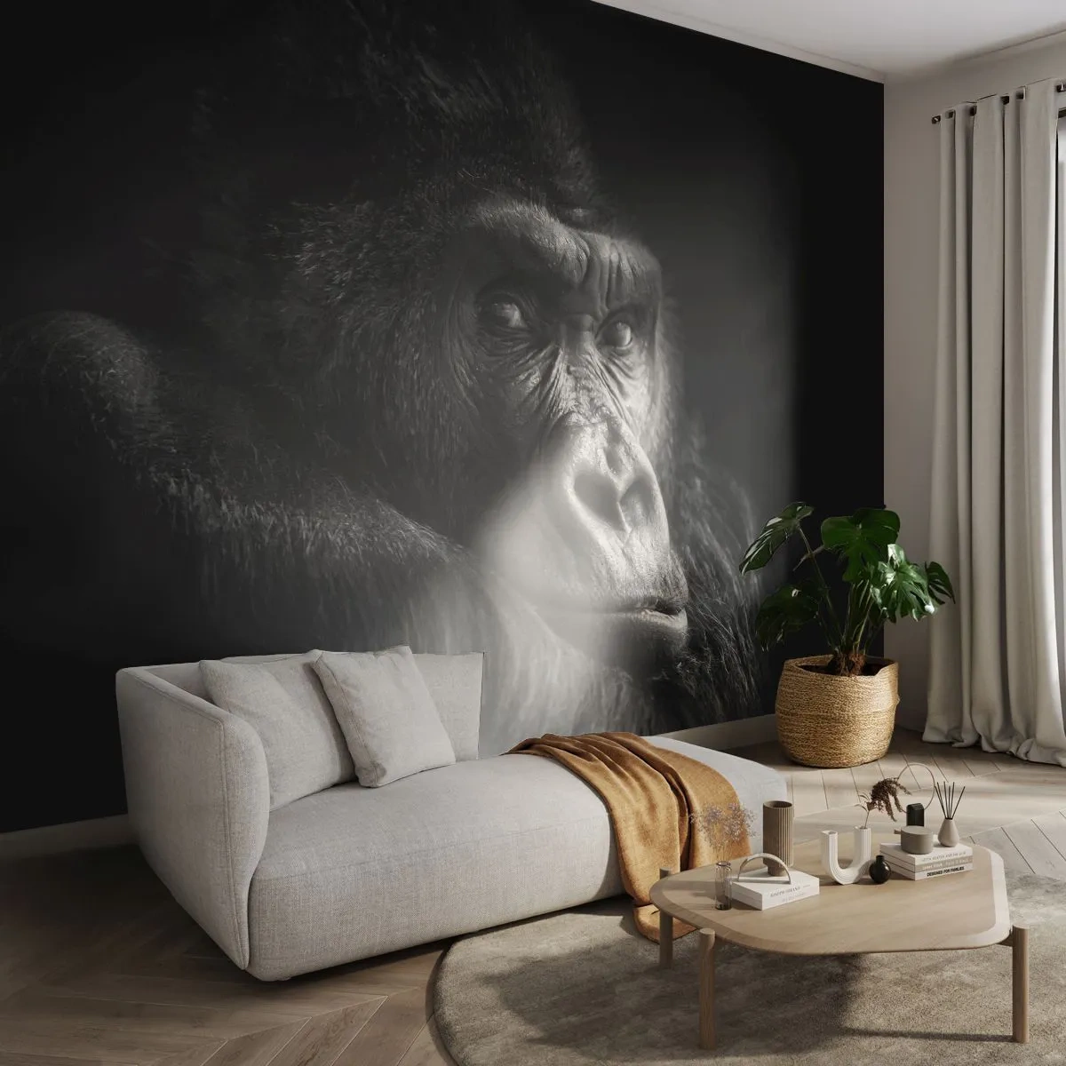 Papier Peint Photo Premium Sand - Et qu'est-ce que tu regardes? - Singe, Gorille, Animaux - 350x256 cm