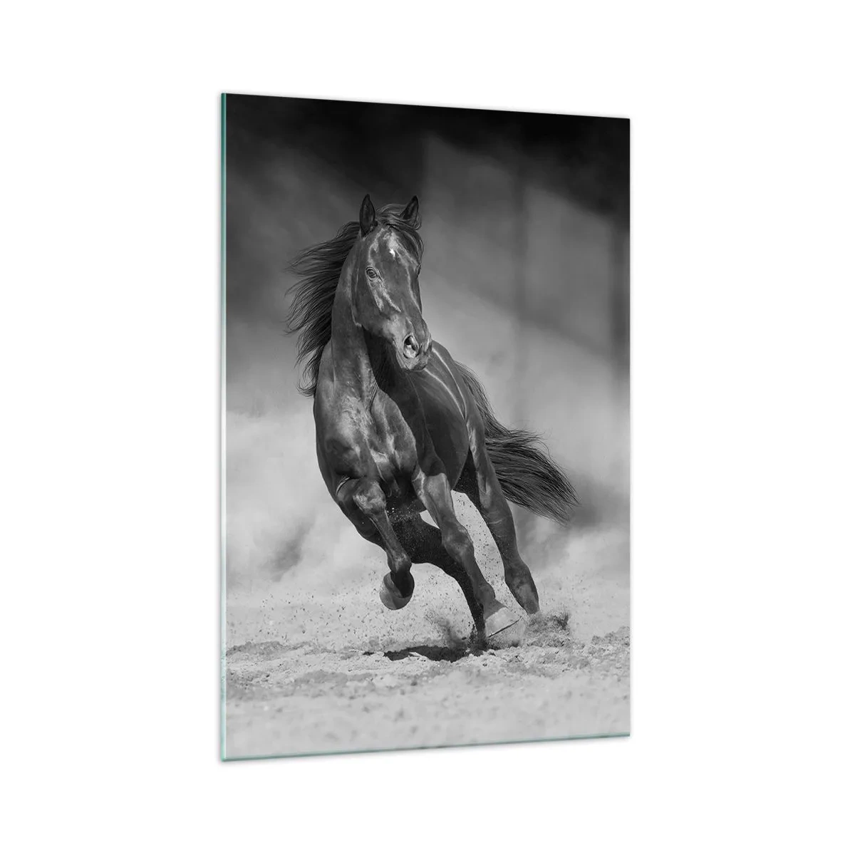 Impression sur verre - Image sur verre - Un cheval noir et blanc galopant sur le sable - 70x100cm - Digne de l'émir lui-même - Décoration murale moderne pour le salon et la chambre ARTTOR