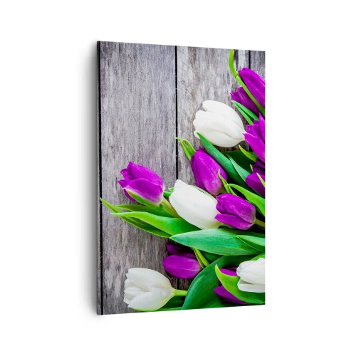 Impression sur toile - Image sur toile - Un bouquet de tulipes violettes et blanches sur un fond en bois - 70x100cm - Le jour des vacances de printemps - Décoration murale moderne pour le salon et la chambre ARTTOR